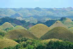 Bohol